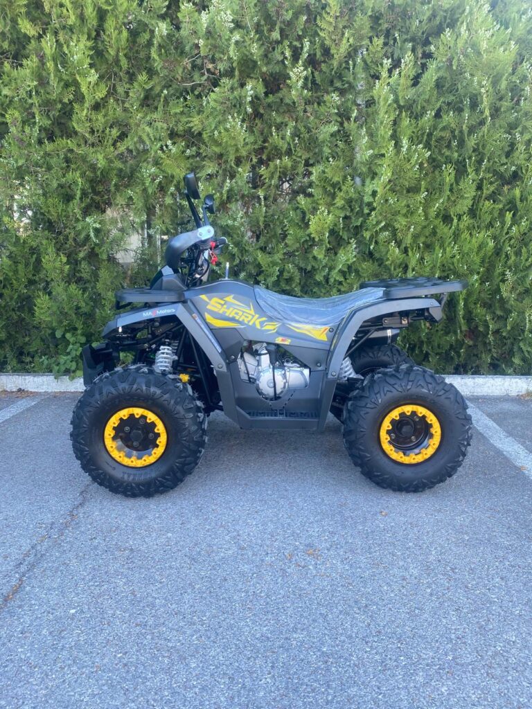Електрическа триколка Mega Motors