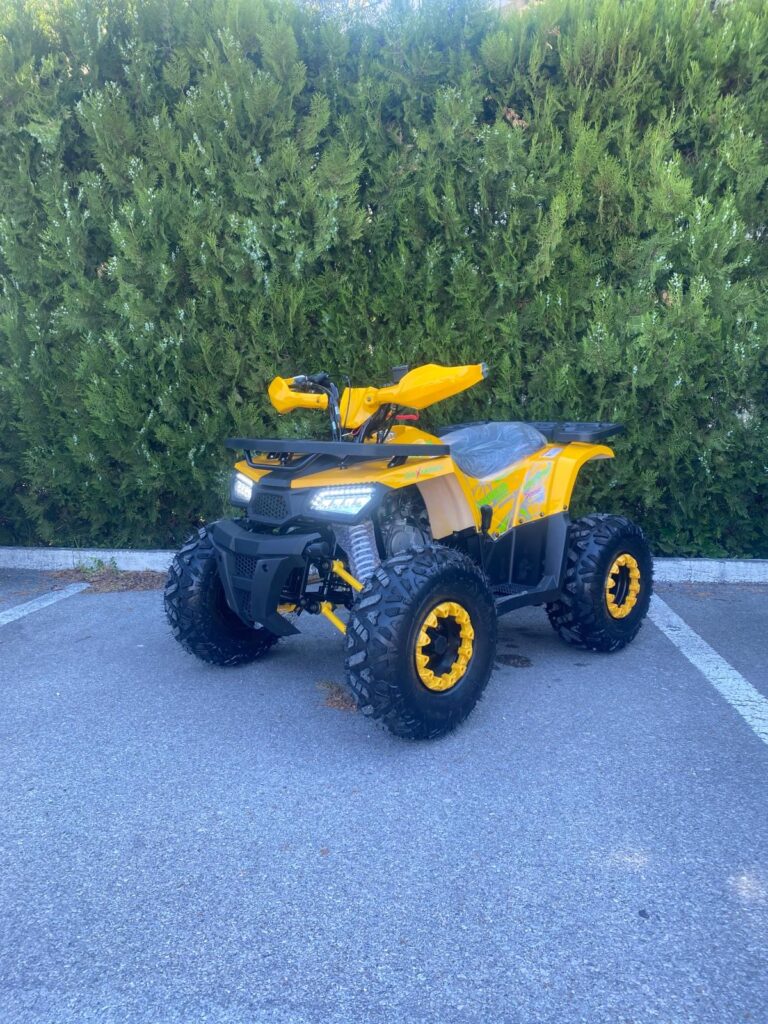 Електрическа триколка Mega Motors